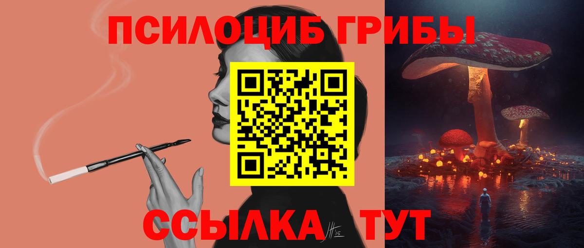 Лянтор  Псилоцибиновые грибы прущие грибы  Вход с VPN 